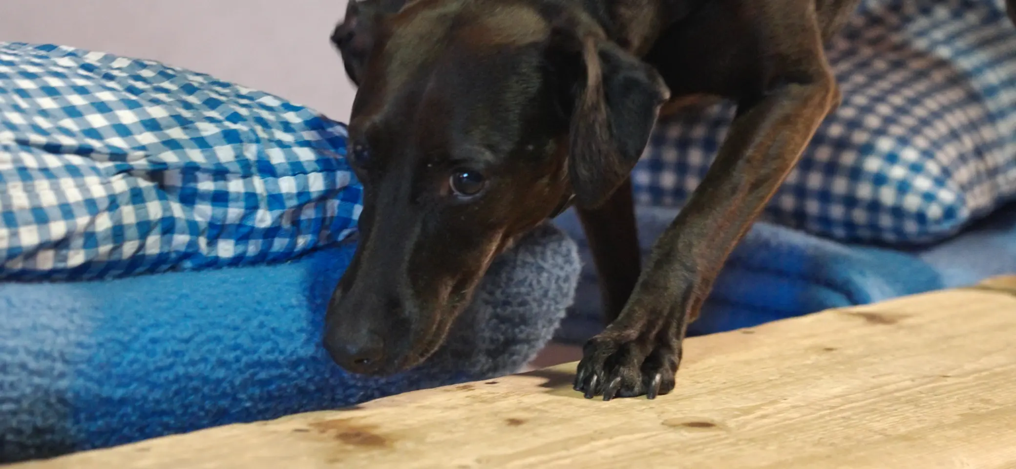 © Foto: DAV/Franz Güntner